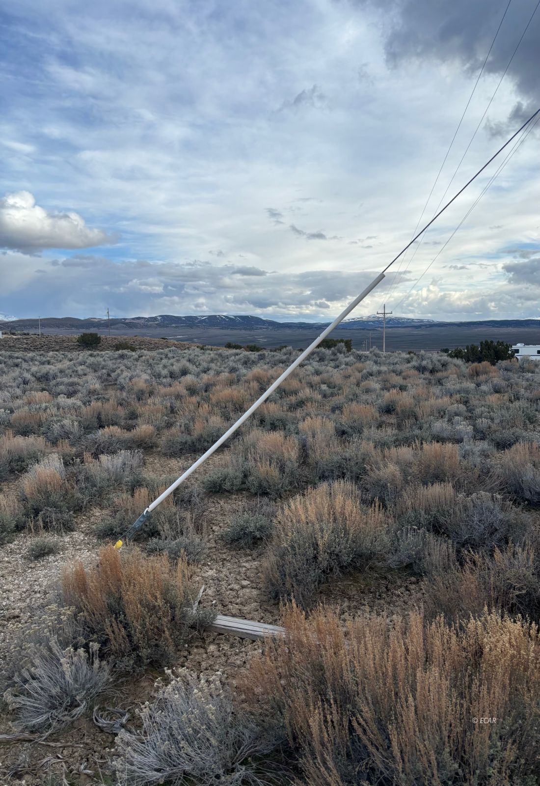 Lee Avenue Property Photo